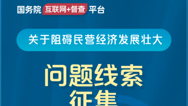 亚洲操嫩穴国务院“互联网+督查”平台公开征集阻碍民营经济发展壮大问题线索